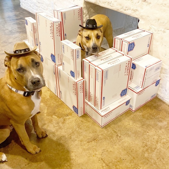 FOLLOW MY CUTE PAWSH ASSISTANTS! πΆπΆπππ - Picture 11 of 16